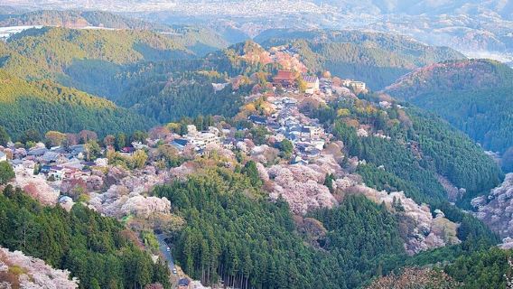 Geführte Wanderung durch historische und natürliche Gebiete in Yoshino