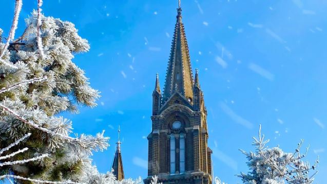 吉林限定【去看霧凇】霧凇島+定制景點一日遊|吉林來回