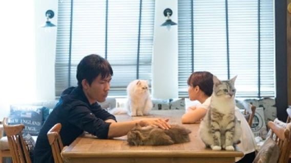 Eintrittskarte für das Cat Cafe MOCHA Lounge (inkl. Getränk) - Ikebukuro Ostausgang Filiale