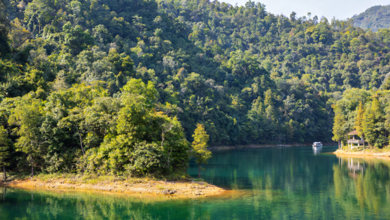 Liuxihe National Forest Park - Xitou Village Route