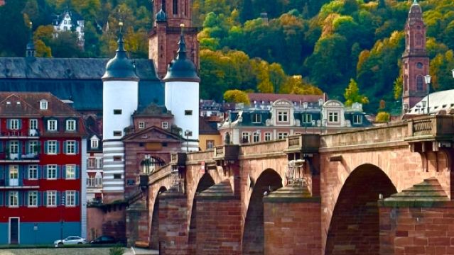 Germany Nuremberg*Heidelberg + Rudesheim 1-day tour with Chinese private charter