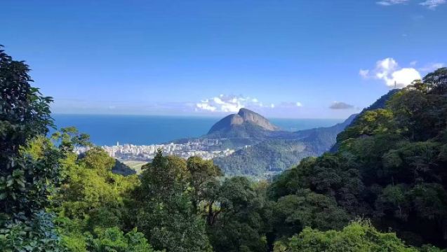 里約熱內盧包車：奇久卡國家公園+基督像+主教座堂+塞勒隆台階