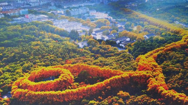 15人團鐘山風景｜中山陵景區+美齡宮+明孝陵+音樂台打卡一日活動