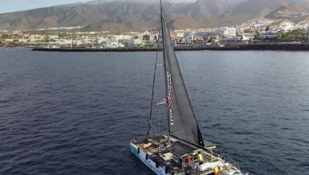 ทัวร์ชมวาฬและโลมาด้วยเรือแคทามารันรักษ์สิ่งแวดล้อม 3 ชั่วโมงที่เตเนรีเฟ