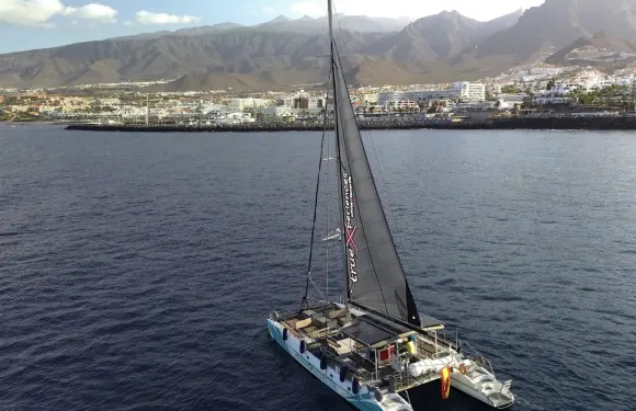 特內里費島：3小時觀鯨及海豚生態雙體船之旅