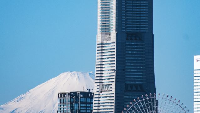 1-day Yokohama panoramic tour from Tokyo with Red Brick Warehouse and Zou-no-hana Park (admission ticket not included)