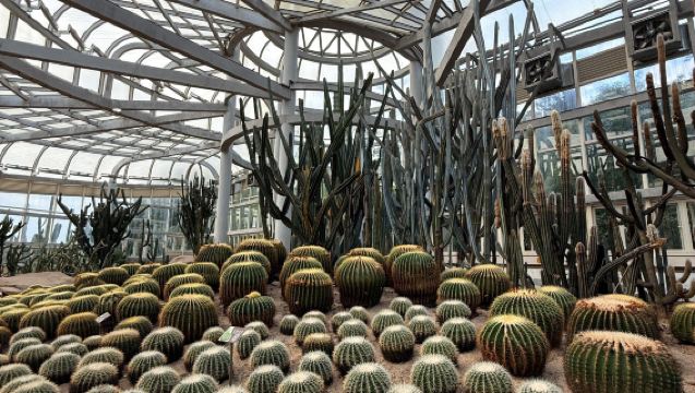 [English/Japanese/Korean Guide] Xiamen Botanical Garden + Shapowei + The Jimei School Village 1-day Private Tour