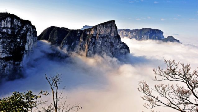 Zhangjiajie National Forest Park & Junsheng Painting Institute Day Tour: Private Transfer+Ticket