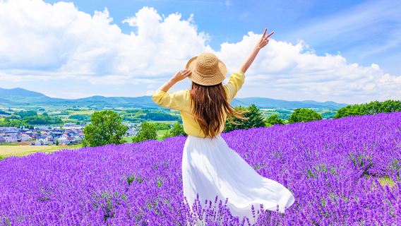 ทัวร์ 1 วัน ฮอกไกโด สวนสัตว์อาซาฮิยามะ + ฟาร์มโทมิตะ | บ่อน้ําสีฟ้าชิโรกาเนบิเอะ + ถ่ายรูปกับต้นไม้ดัง