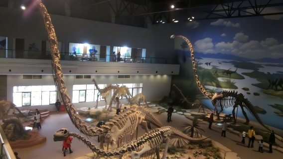 Chengdu round-trip | Zigong Dinosaur Museum private tour 1-day tour | Admission ticket not included with complimentary water