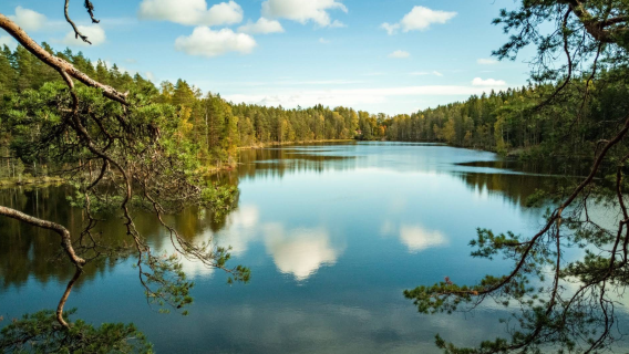 Finland Helsinki + Taman Negara Nuuksio lawatan sehari - Terpilih