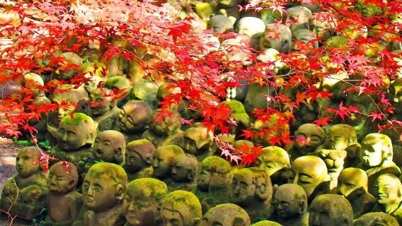 Check off Osaka's hidden gem of daruma-covered hills + Kyoto's Arashiyama + Kayabuki no Sato 1-day tour