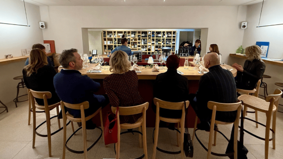Trieste City Center: Wine Tasting with Food Pairings