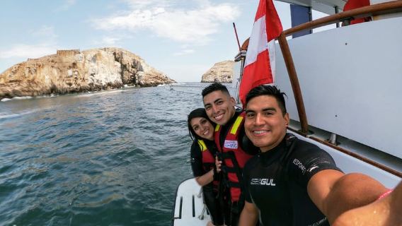 Lima: Yacht adventure to Palomino, swimming with sea lions + complimentary photos
