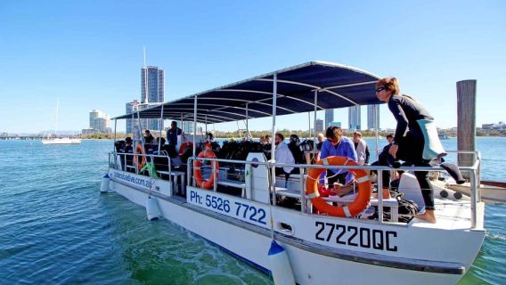 Gold Coast: Introductory SCUBA Diving Experience