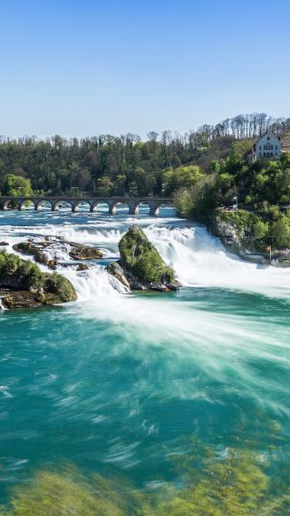 From Zurich: Rhine Falls Half-Day Express Private Tour