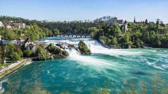 From Zurich: Rhine Falls Half-Day Express Private Tour
