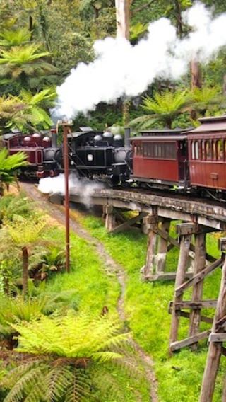 メルボルン ブライトン・ビーチのカラフルな小屋＋パッフィンビリー鉄道＋フィリップ島 ワンデーツアー/ペンギン・パレード観賞