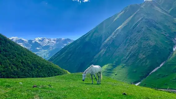 ️Private Full-Day Tour to Mtskheta and Kazbegi(stepantsminda) from Tbilisi