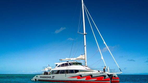 CairnsTours