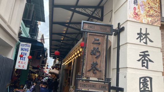 堅打日遊