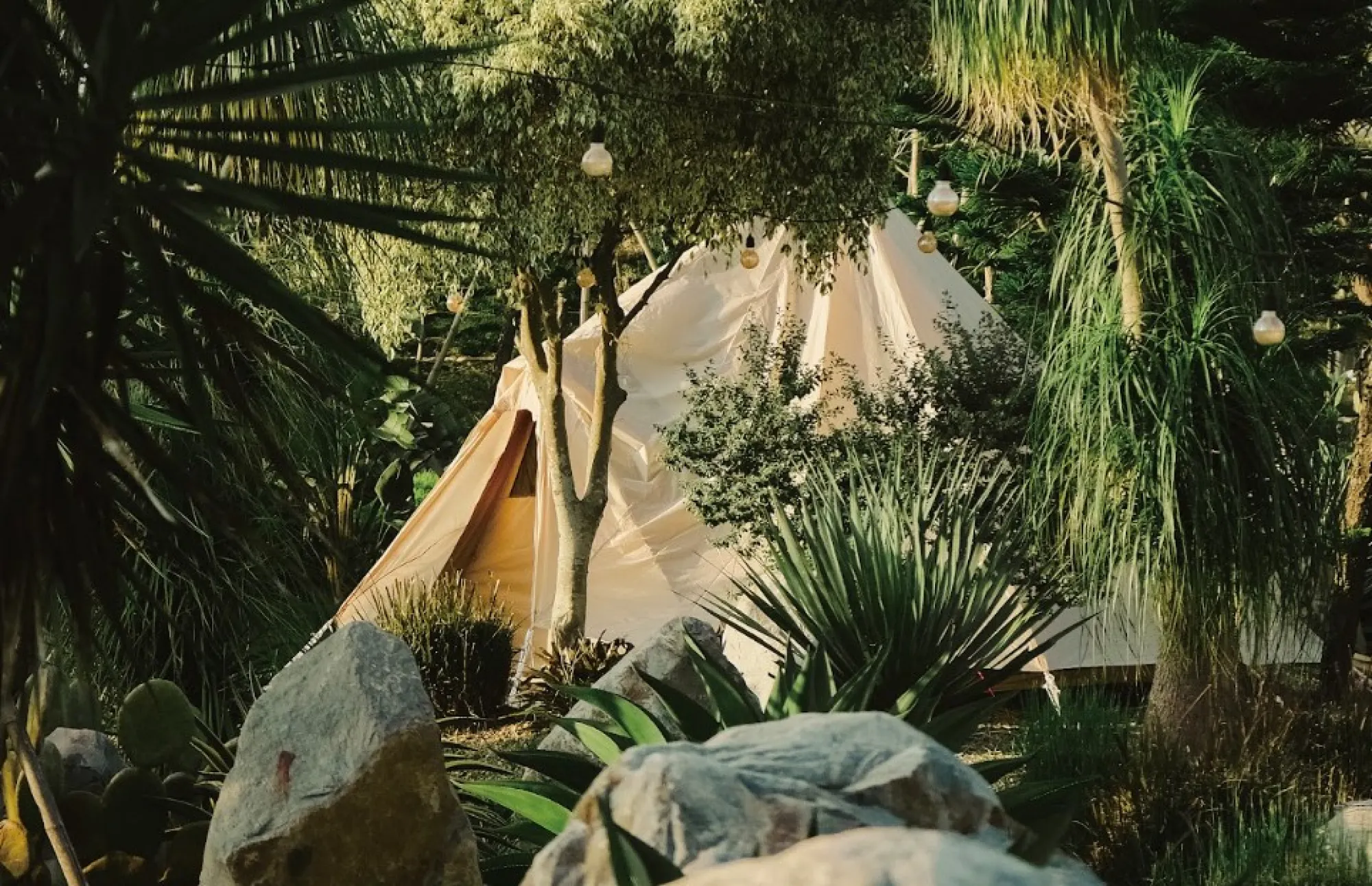 苗栗親子住宿 自然圈農場