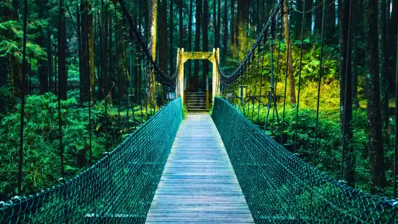 阿里山森林遊楽区日帰りツアー【台中/嘉義/高雄発】