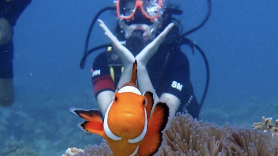 Boracay IslandTours