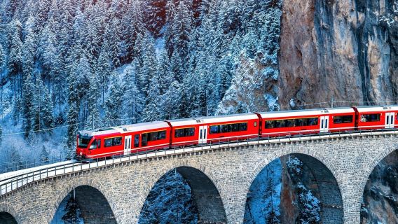Bernina Red Train Experience from Milan