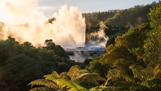 WellingtonTravel Services