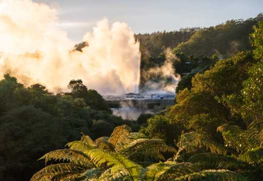 Te Puia Rotorua Guided Tour with Pōhutu Geyser, Kiwi Bird Viewing and Māori Culture