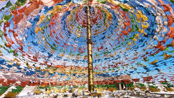 拉脊山+日月山+青海湖一日遊【包車遊】