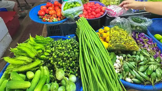 曼谷 A RUN THAI 烹飪學校【泰式料理烹飪課程】