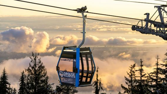 Grouse Mountain & Capilano Suspension Bridge Park: Guided Tour