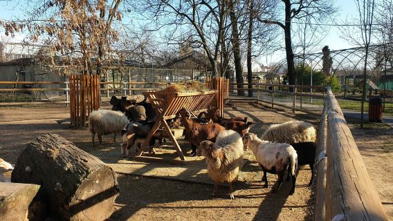 Oradea Zoo: Meet & Greet