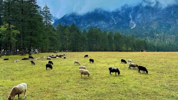 Tour di un giorno in montagna innevata di Yulong (Drago di giada) - Funivia Yak Meadow (al centro) da Lijiang