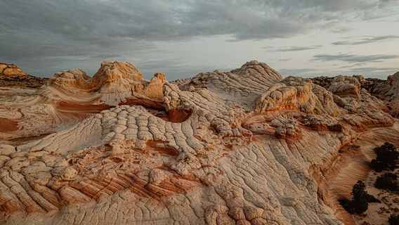 Salt Lake CityTours