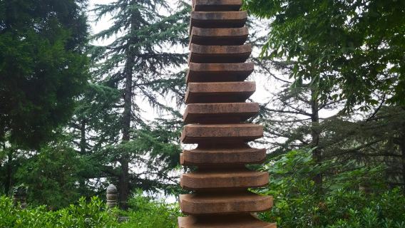 Songshan Junji Peak + Songyang Academy + Luya Waterfall - Zhongyue Temple one-day tour English service available