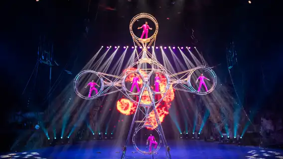 Guangzhou Chimelong International Circus and Chimelong Safari Park Day Tour (Private or Group Tour Available)
