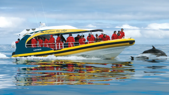 ท่องเที่ยวออสเตรเลีย แทสเมเนีย คาบสมุทรแทสมัน ล่อง สปีดโบ๊ท เร็ว ทัวร์วันเดียว/ทัวร์หลายวัน พอร์ตอาร์เธอร์ โฮบาร์ต