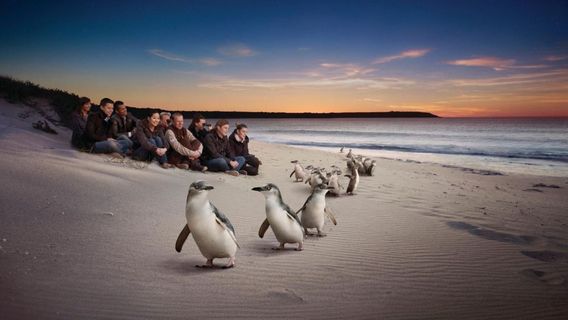 MelbourneTours de un día