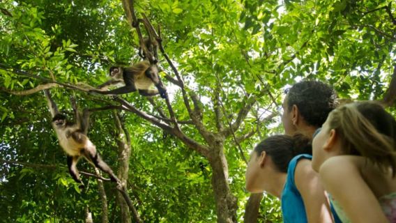 Riviera Maya: Tur Kebun Binatang Interaktif Croco Cun