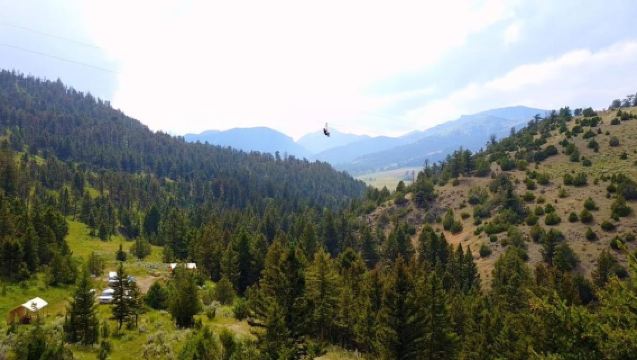 Gardiner: Guided Zipline EcoTour (3 hours)