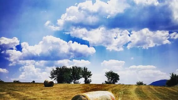 Zlatibor tour - Gold gondola, Stopic cave, Sirogojno & falls