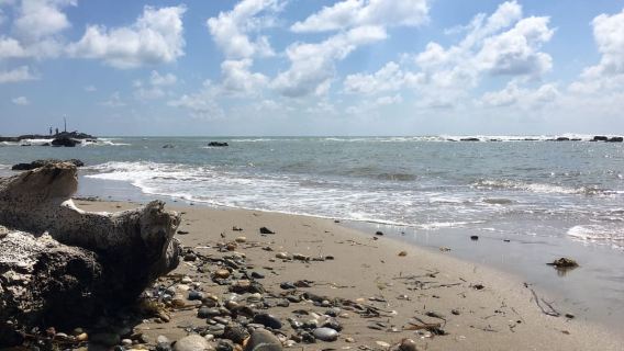 Durrës: Lawatan Berjalan Kaki dan Amfiteater Rom