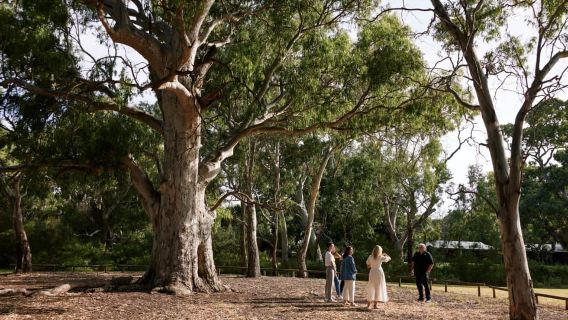 Adelaide: Guided Warriparinga Cultural and Historical Tour