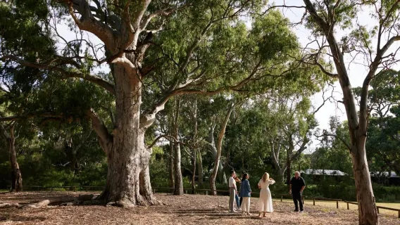 Adelaide: tour guidato culturale e storico di Warriparinga