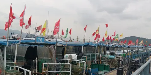 浙江寧海灣包船出海觀光+拉地籠+吃船餐/魚獲現吃【魚獲可打包帶走+可包船去橫山島小普陀玩+親子團建優選】