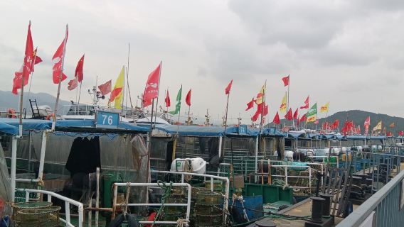 浙江寧海灣包船出海觀光+拉地籠+吃船餐/魚獲現吃【魚獲可打包帶走+可包船去橫山島小普陀玩+親子團建優選】