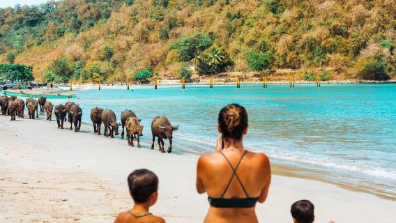 롬복 프라이빗 투어: 서핑, 사우스 비치 탐험, 일몰